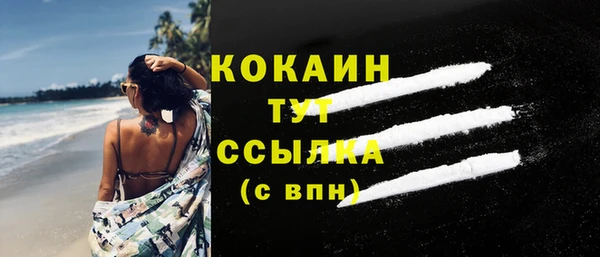 мдпв Ладушкин