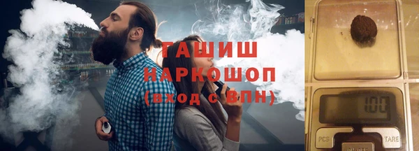 мдпв Ладушкин