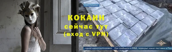 мдпв Ладушкин