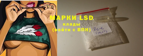 мдпв Ладушкин