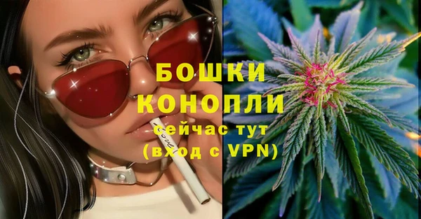 мдпв Ладушкин