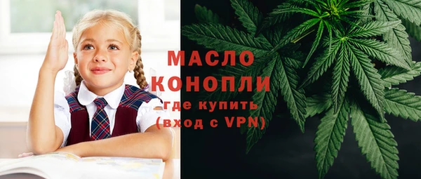 мдпв Ладушкин