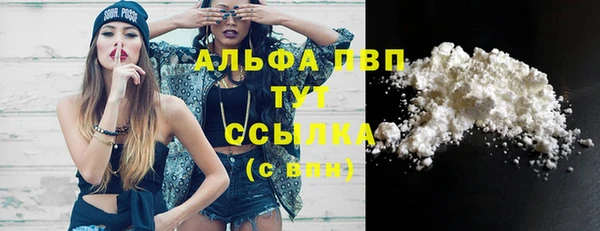 мдпв Ладушкин
