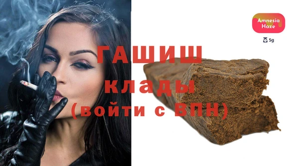 мдпв Ладушкин