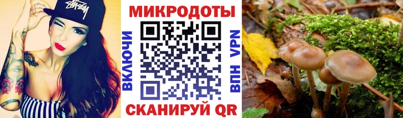 блэк спрут как войти  где можно купить   Ильский  Псилоцибиновые грибы MAGIC MUSHROOMS 